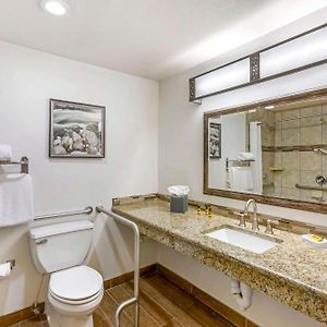 King Room Disability Access Roll Shower